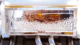 Adsorption-Based Atmospheric Water Harvesting Device