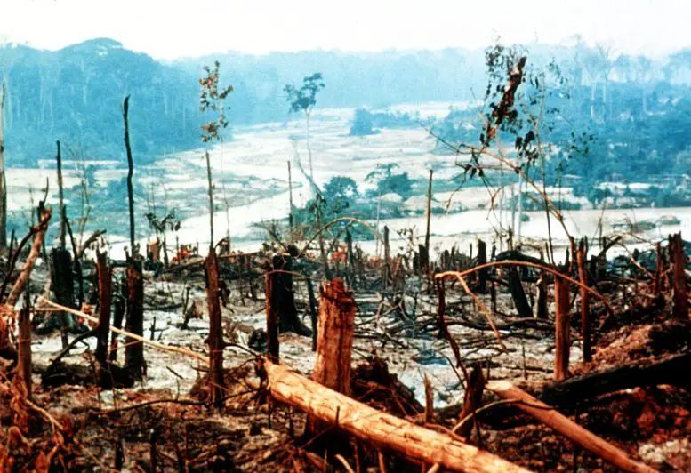 Amazon Deforestation