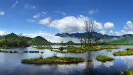 Dajiu Lake Wetland in Shennongjia, China