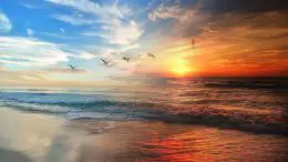 Ocean Climate Change